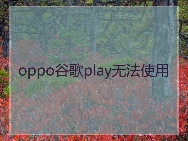 oppo谷歌play无法使用