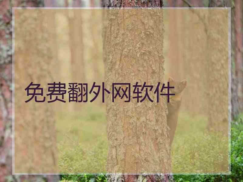 免费翻外网软件