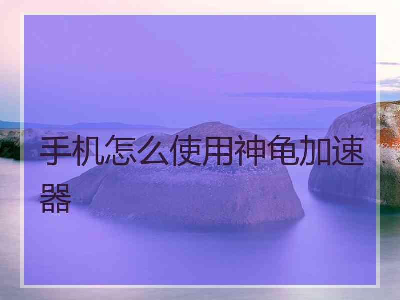 手机怎么使用神龟加速器