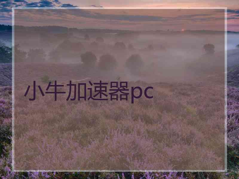 小牛加速器pc