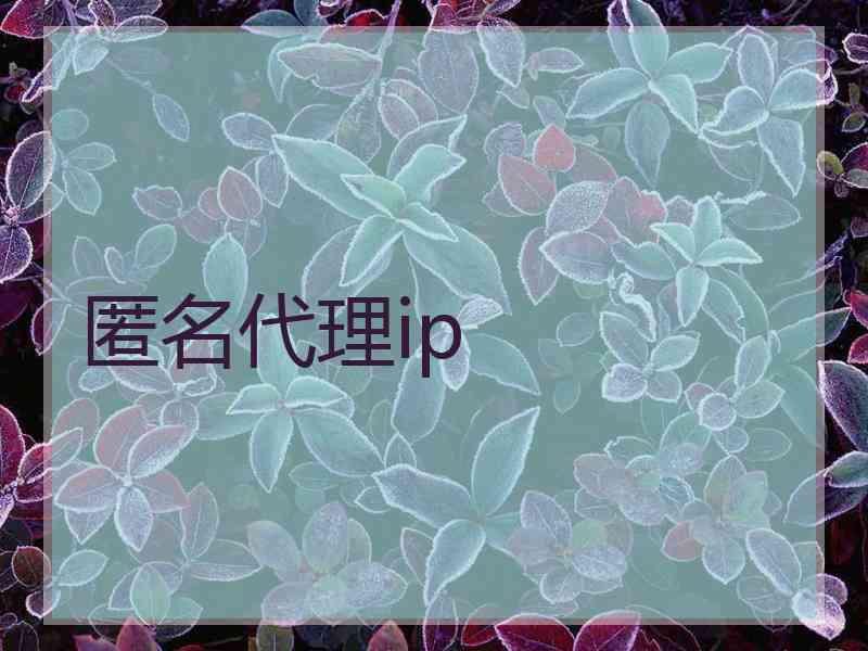 匿名代理ip