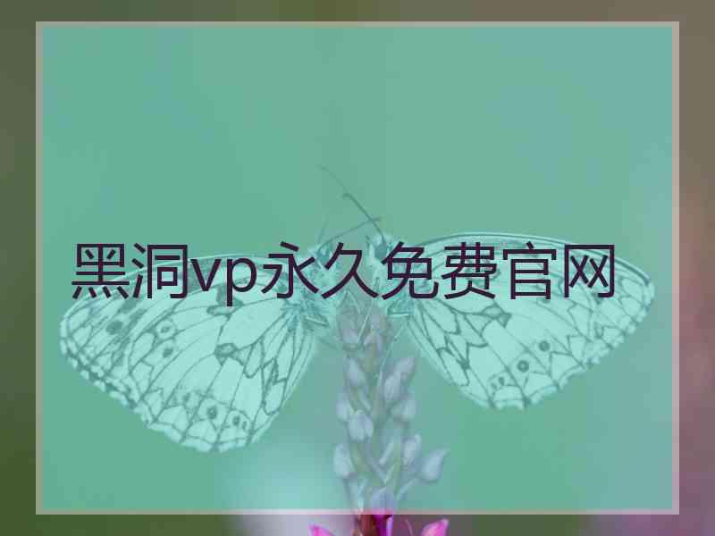 黑洞vp永久免费官网