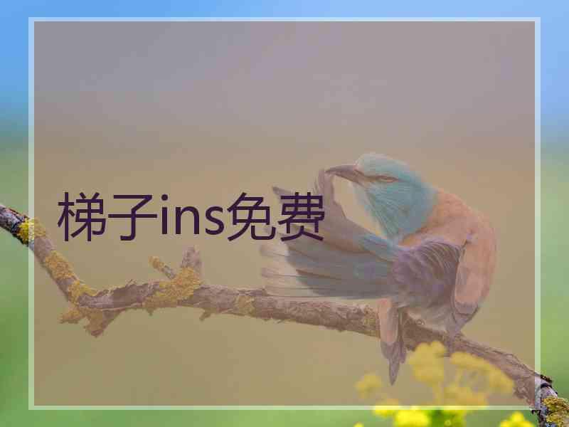 梯子ins免费