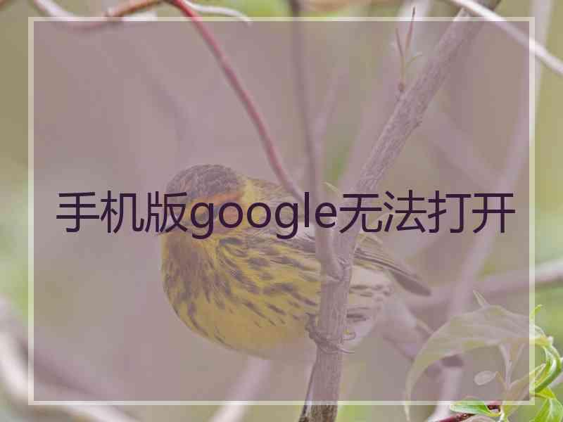 手机版google无法打开