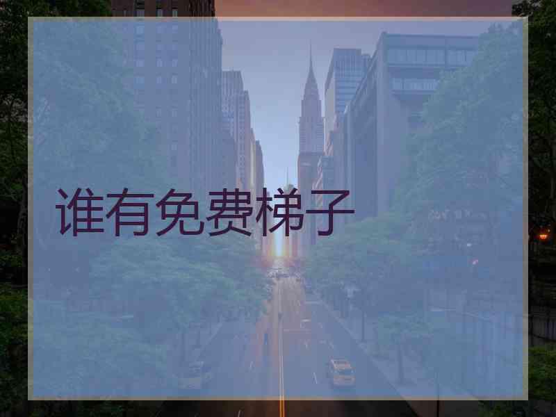 谁有免费梯子