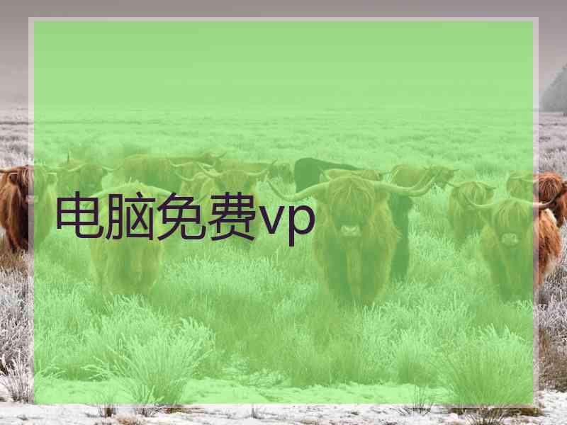 电脑免费vp