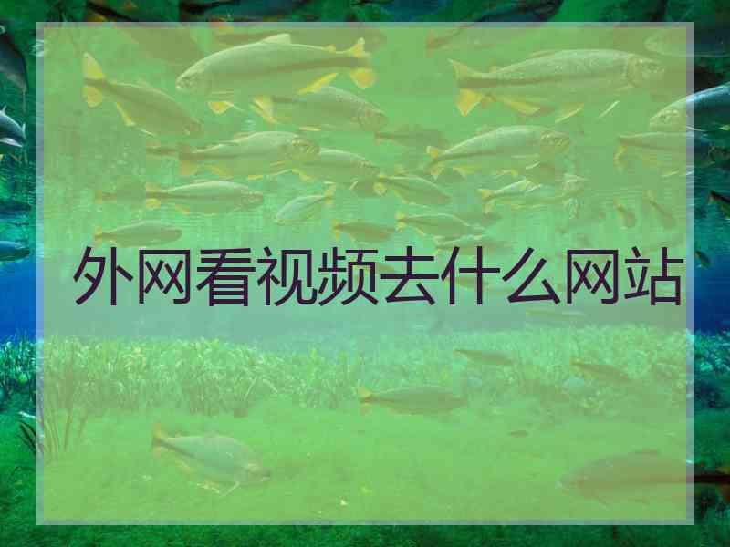 外网看视频去什么网站