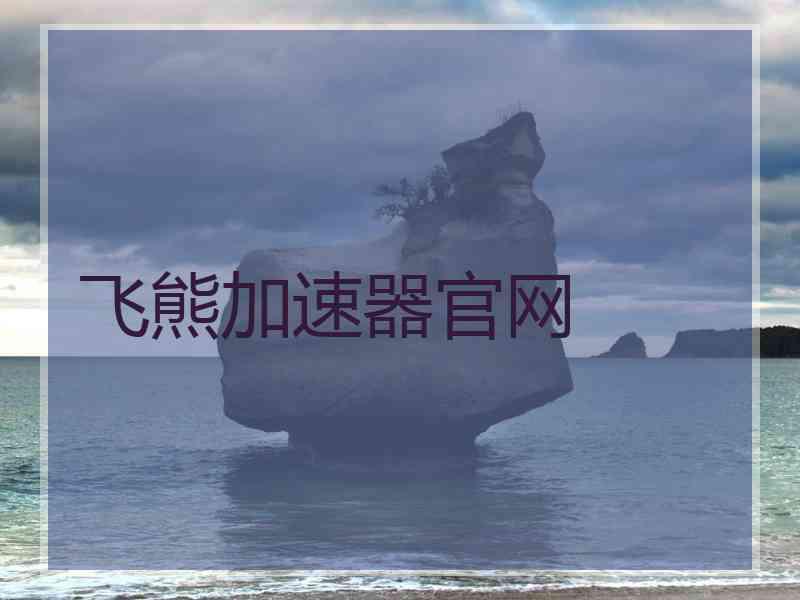 飞熊加速器官网