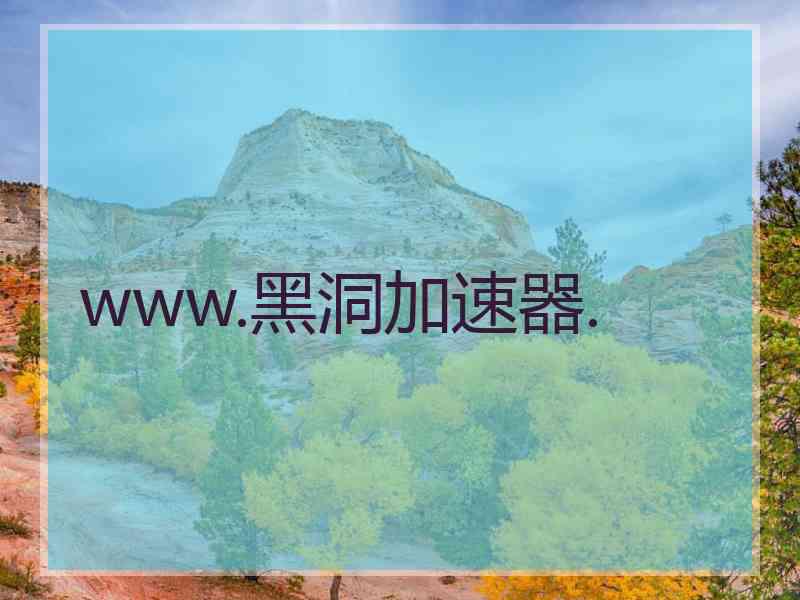 www.黑洞加速器.