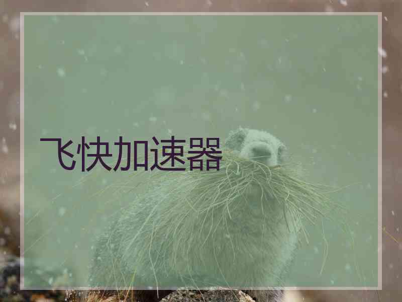 飞快加速器