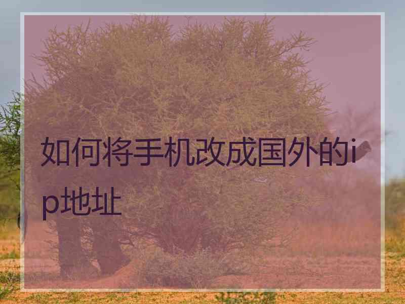 如何将手机改成国外的ip地址