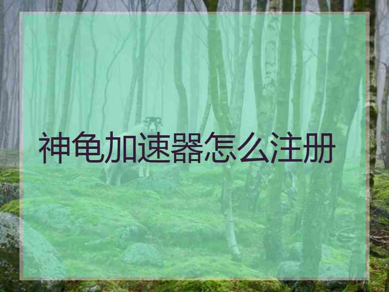 神龟加速器怎么注册