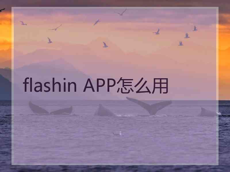 flashin APP怎么用