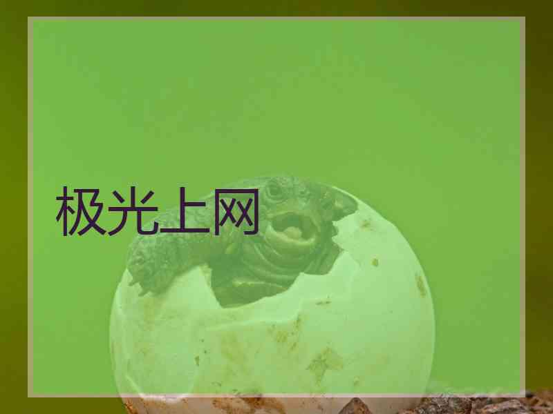 极光上网