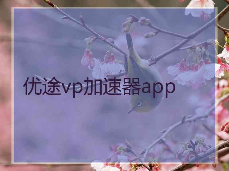 优途vp加速器app
