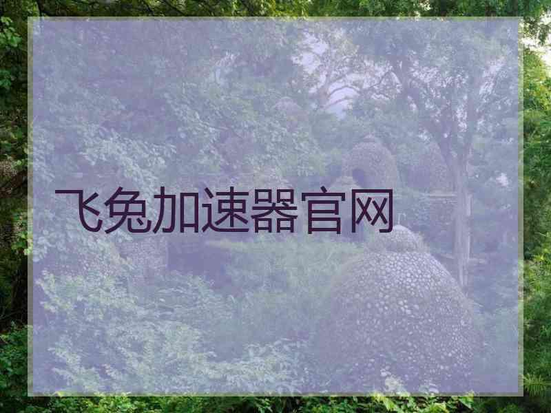 飞兔加速器官网