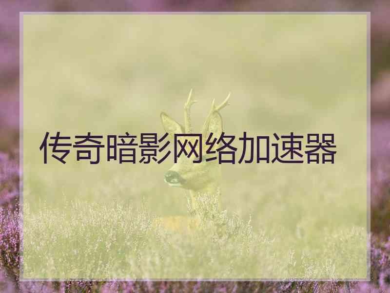 传奇暗影网络加速器