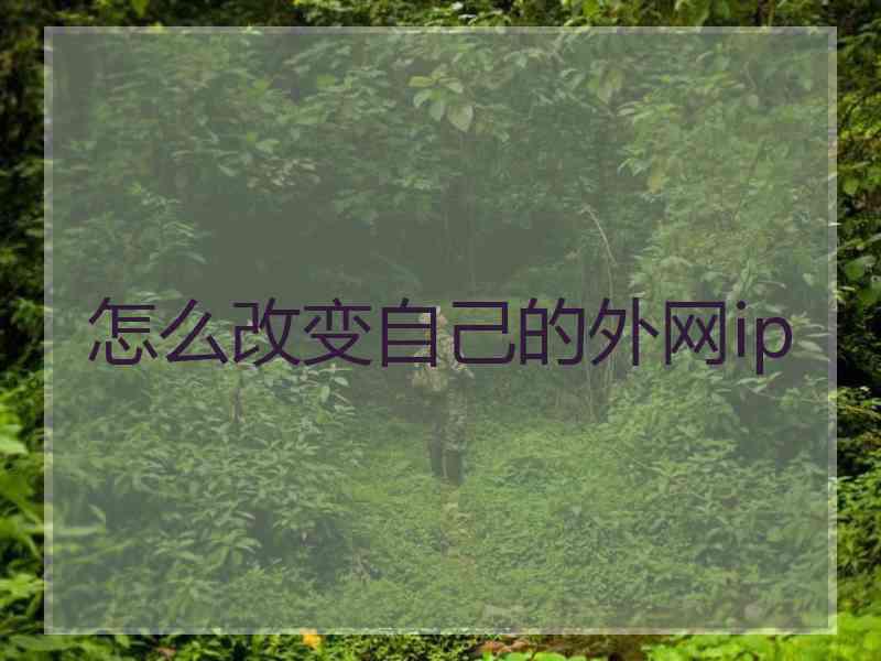 怎么改变自己的外网ip