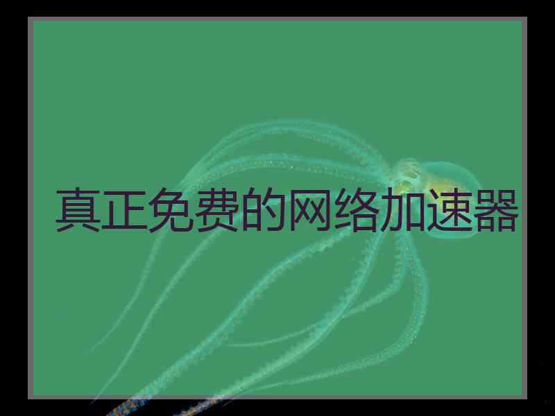 真正免费的网络加速器