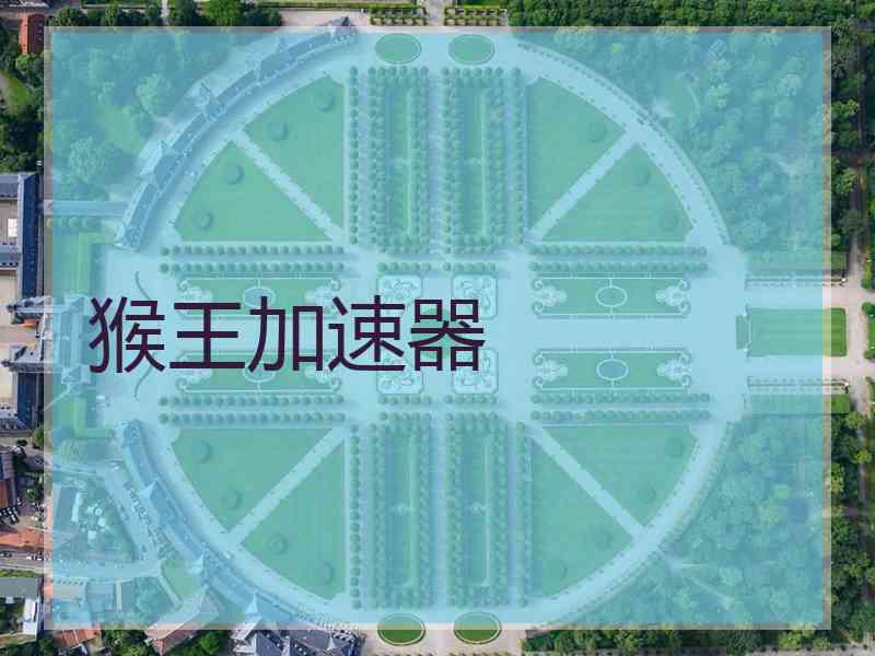 猴王加速器