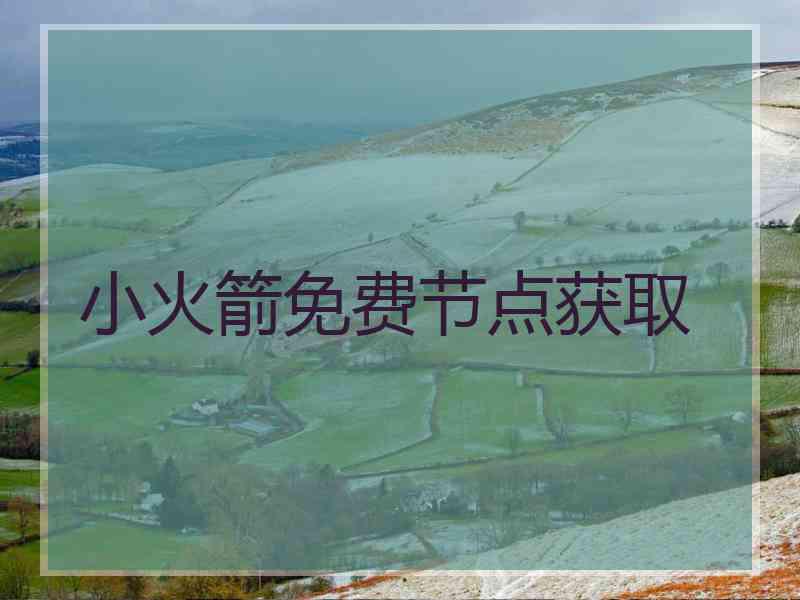 小火箭免费节点获取