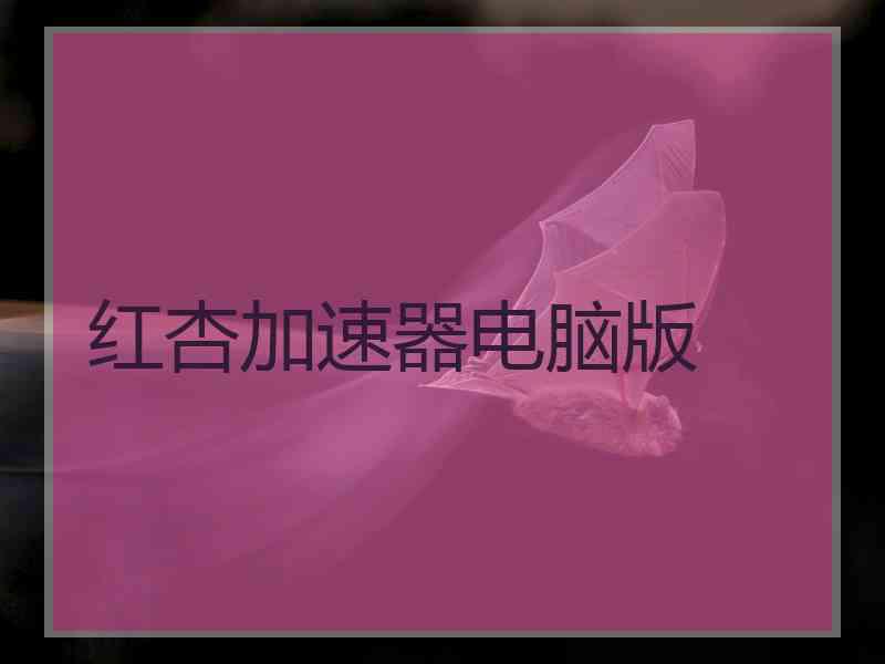 红杏加速器电脑版