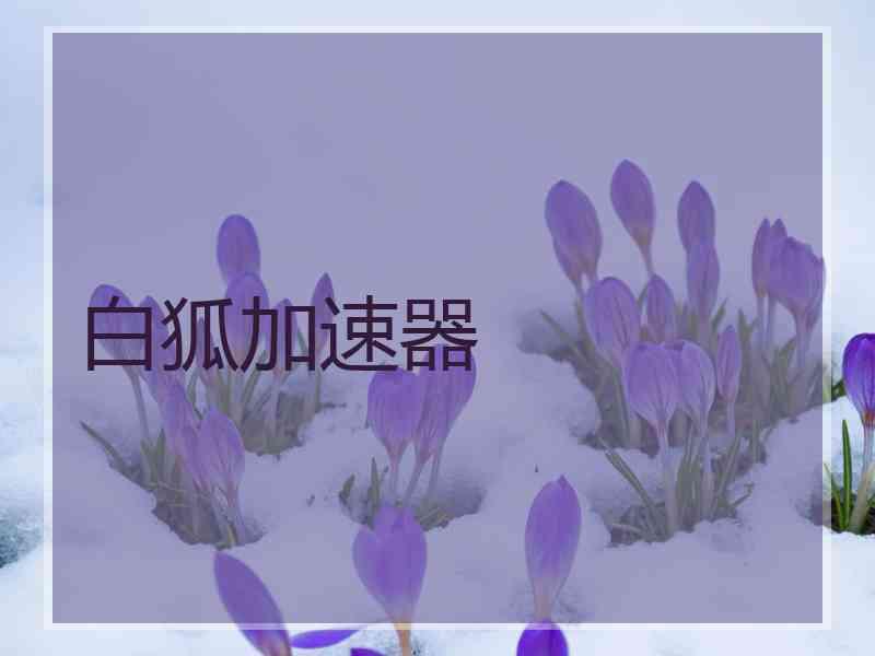 白狐加速器