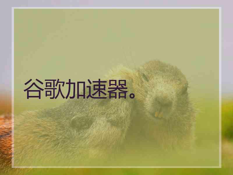 谷歌加速器。