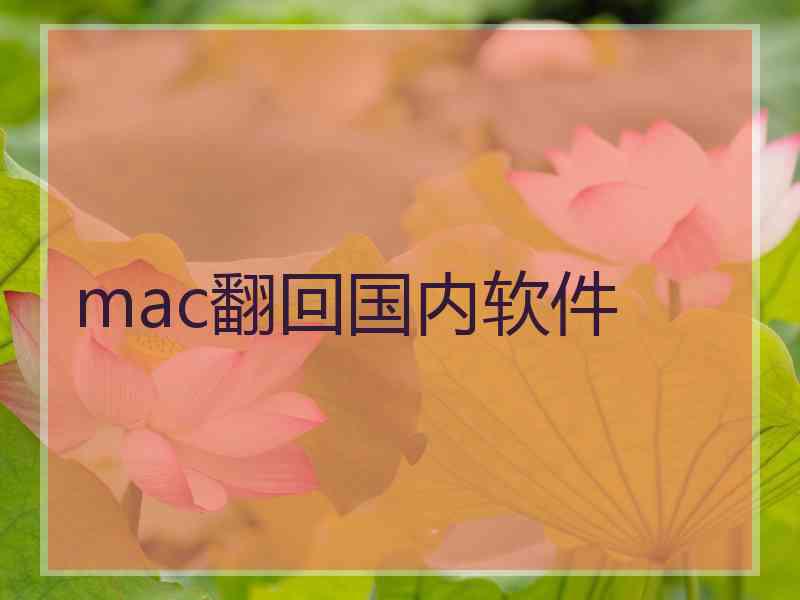 mac翻回国内软件
