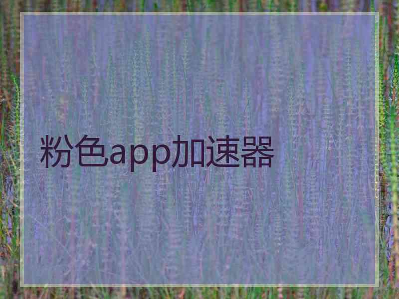 粉色app加速器