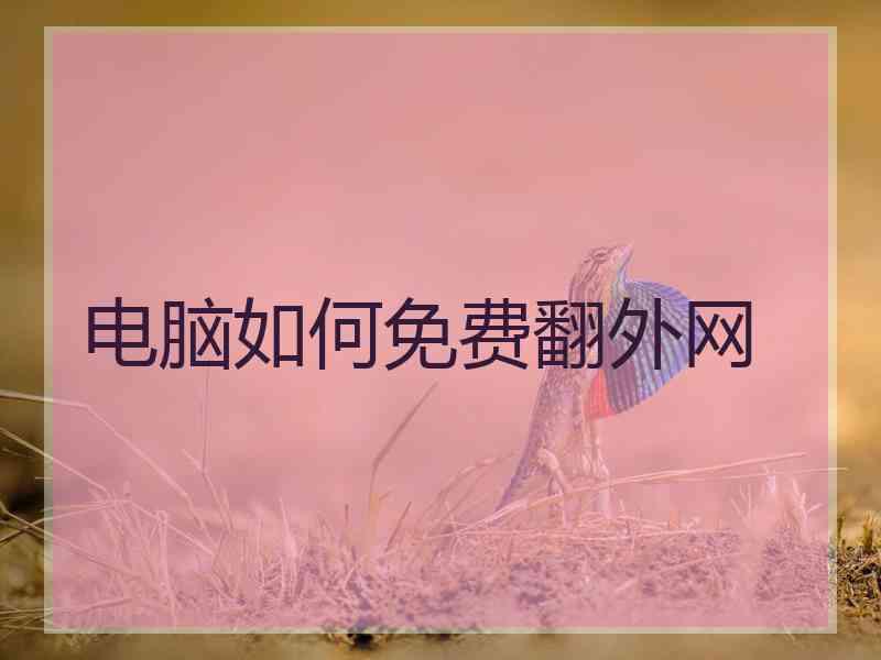 电脑如何免费翻外网