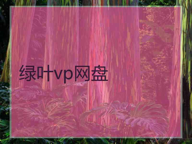 绿叶vp网盘