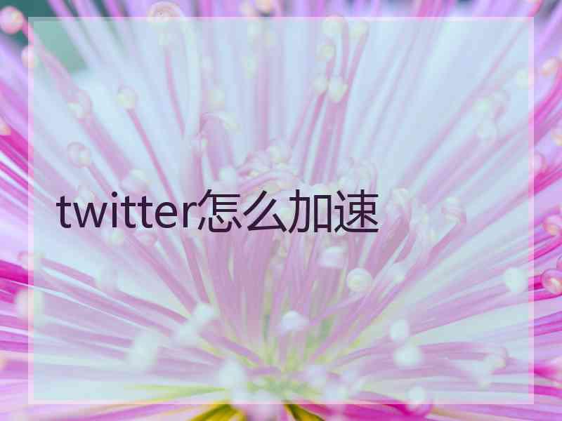 twitter怎么加速
