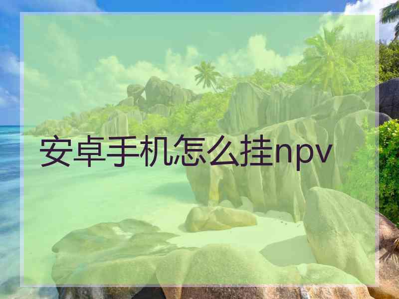 安卓手机怎么挂npv