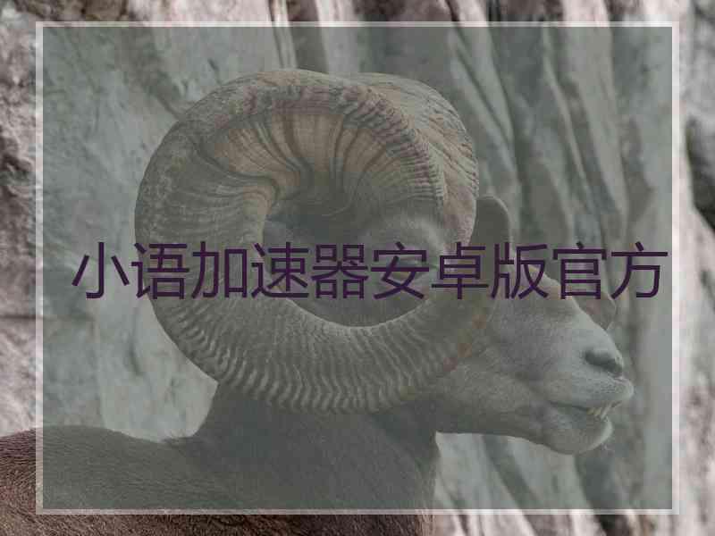 小语加速器安卓版官方