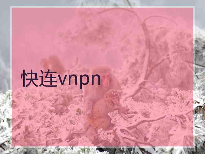 快连vnpn