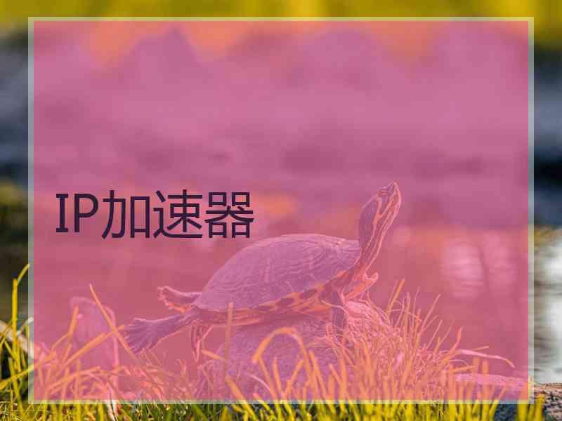 IP加速器