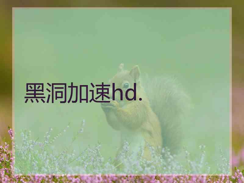 黑洞加速hd.