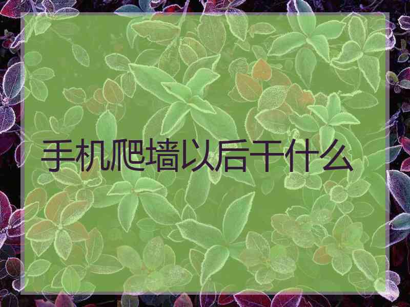 手机爬墙以后干什么