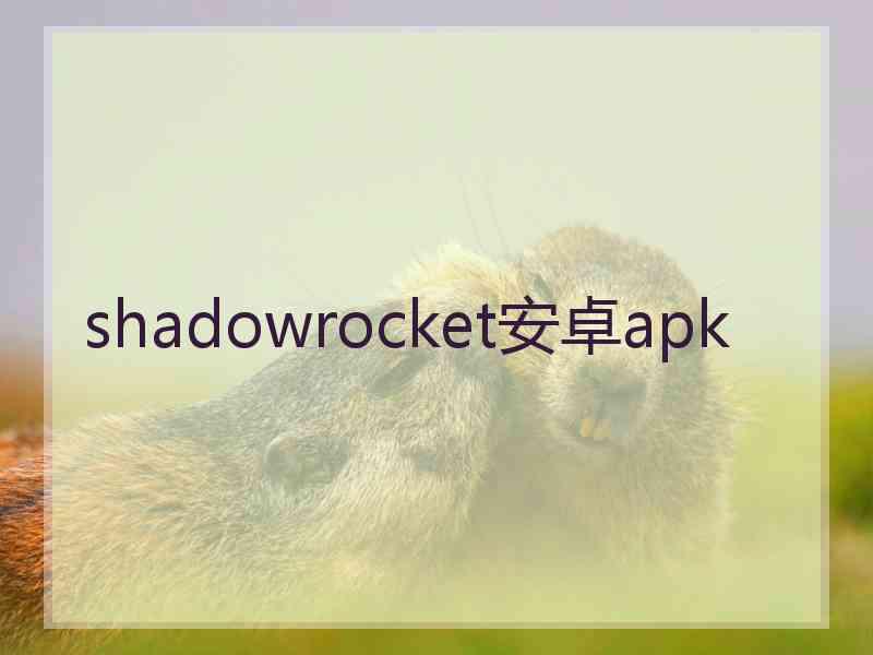 shadowrocket安卓apk