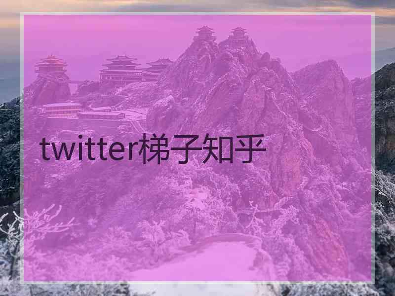 twitter梯子知乎