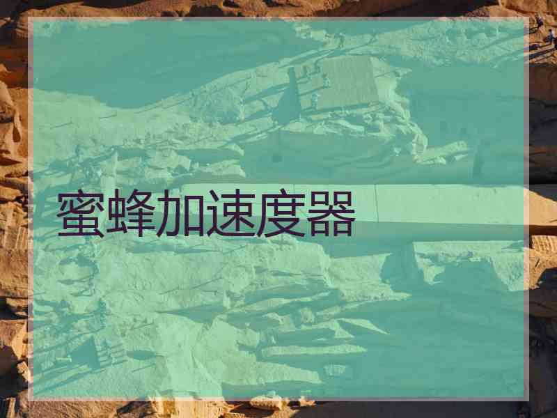 蜜蜂加速度器