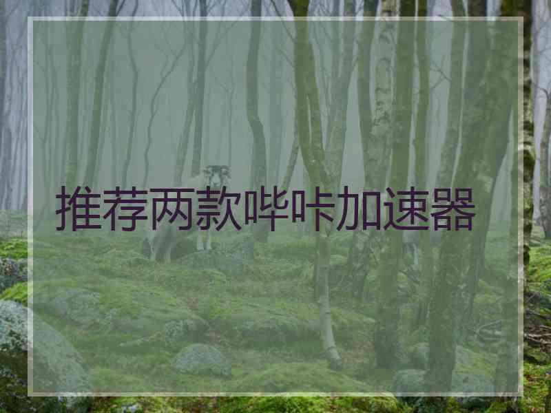 推荐两款哔咔加速器