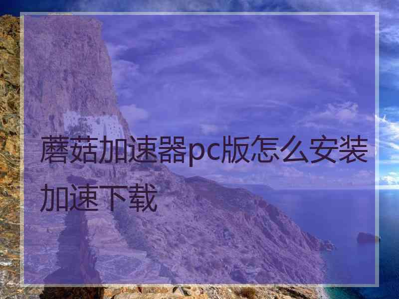 蘑菇加速器pc版怎么安装加速下载