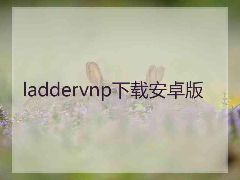 laddervnp下载安卓版