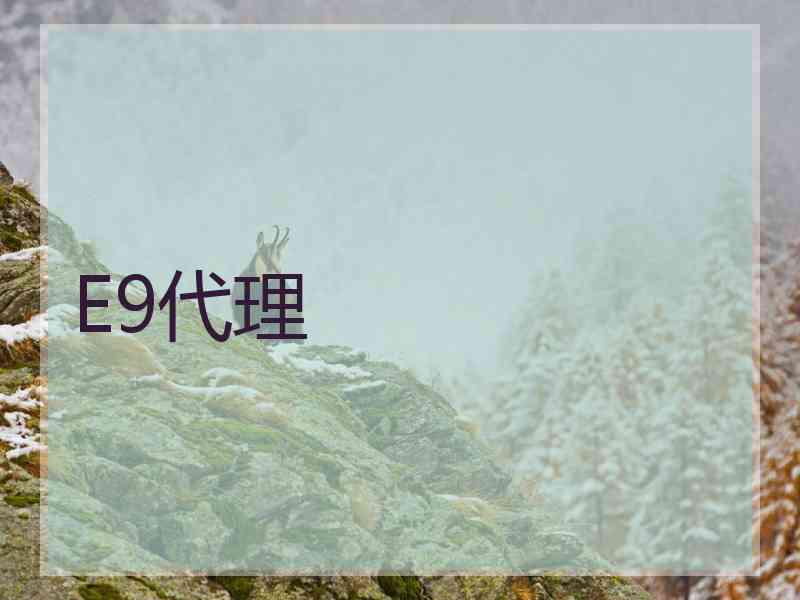 E9代理