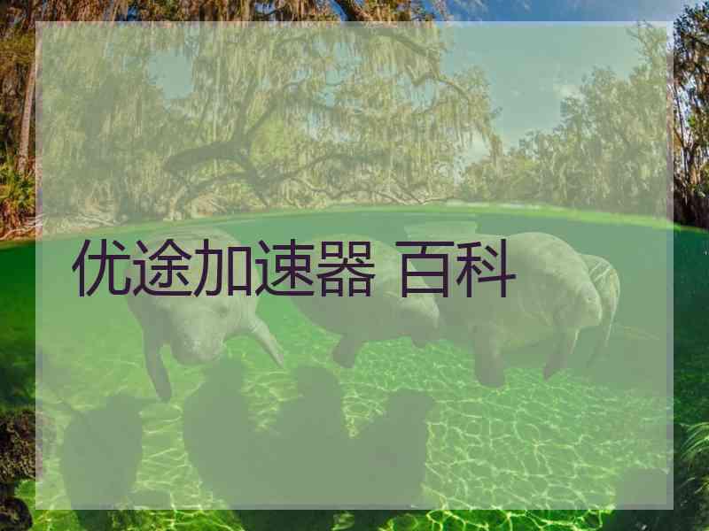 优途加速器 百科