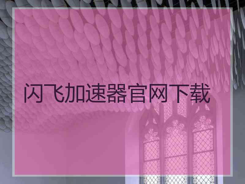 闪飞加速器官网下载