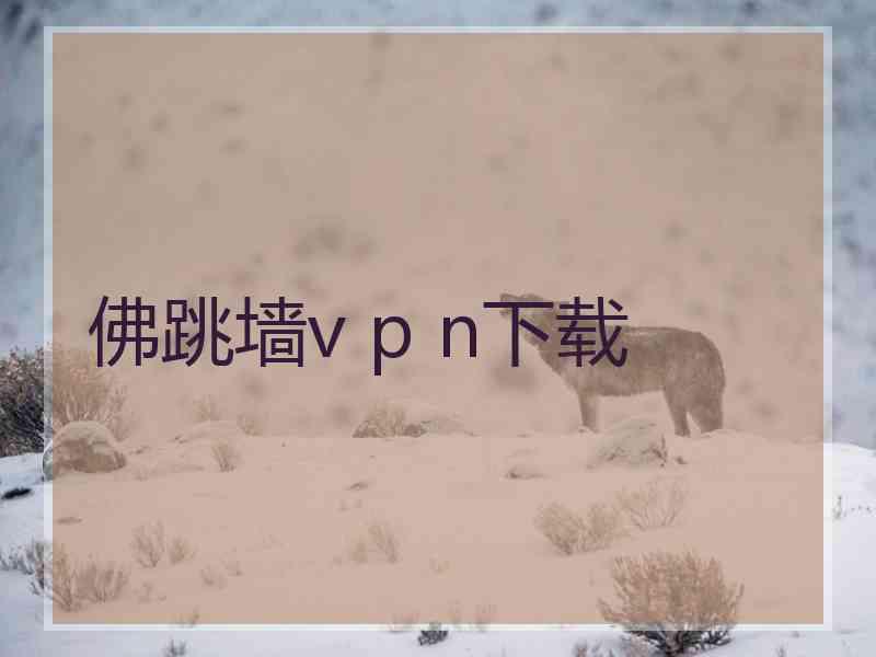 佛跳墙v p n下载