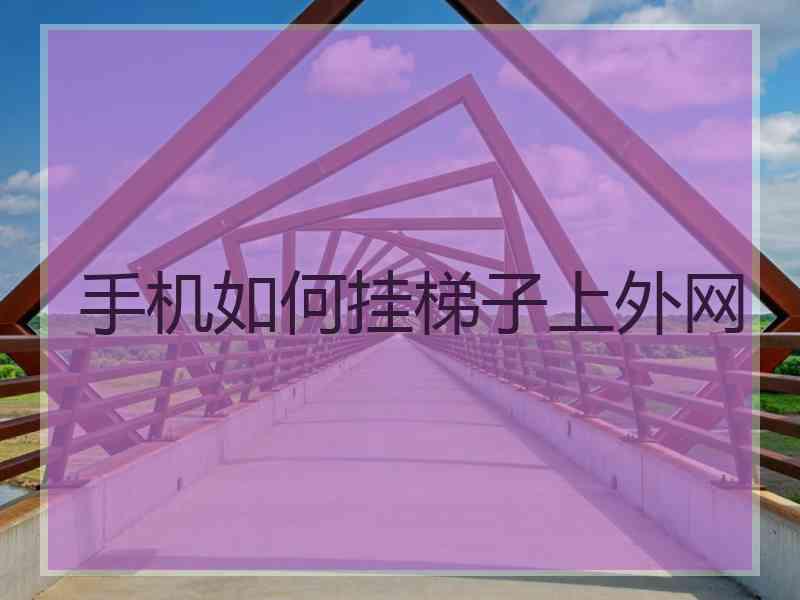 手机如何挂梯子上外网